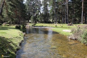 Duruelo de la Sierra. Río Duero