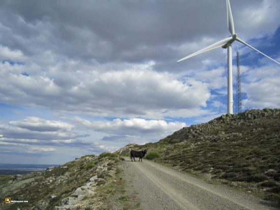 Carro Gorría vaca y aerogenerador