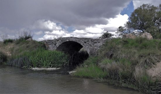 el ÇGromejón en Gumiel de Izán