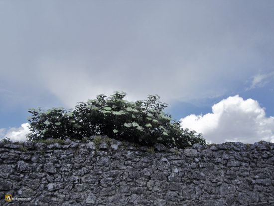 Monasterio de San Pedro, Gumiel de Izán