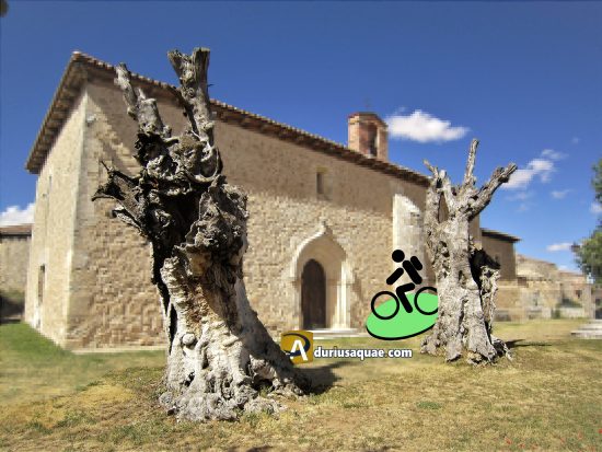 Ermita nuestra Señora de los Olmos