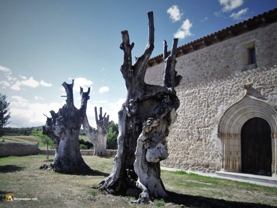 Ermita de Nª Señora de la Olma. Quintana del Pidio