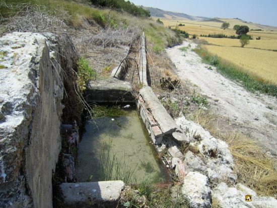 Manantial de Aguaduchos