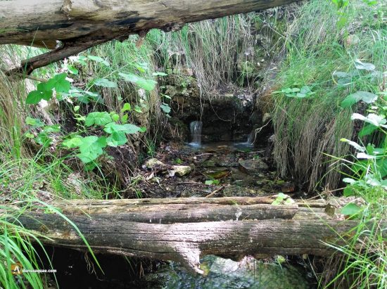 Manantial junto al Duero