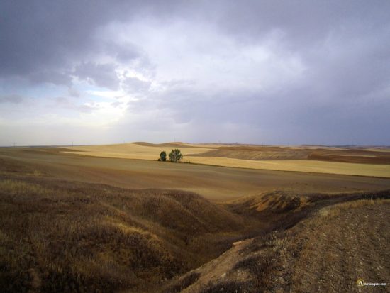 Tierra de Campos