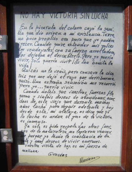 No hay victoria sin lucha