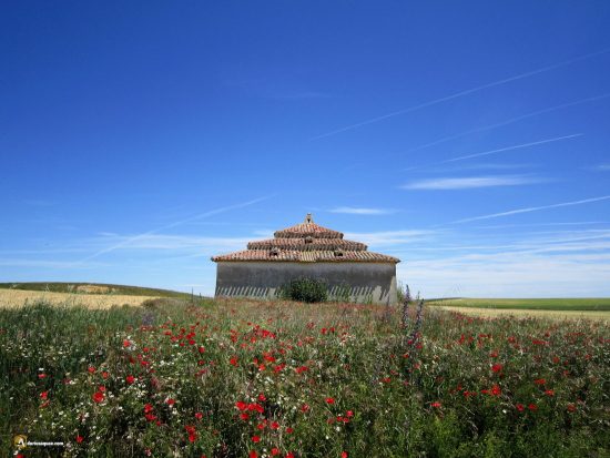 Palomar en Villabaruz de Campos