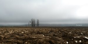 Villabrágima