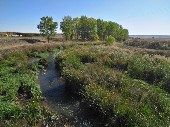 Villanueva de los Caballeros