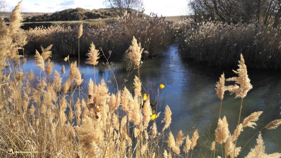 Desembocadura del Sequillo en valderaduey