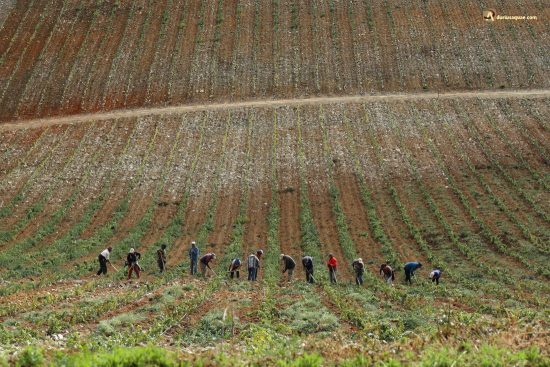 Sao Joao de Pesqueira