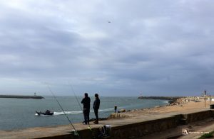 Desembocadura del Duero