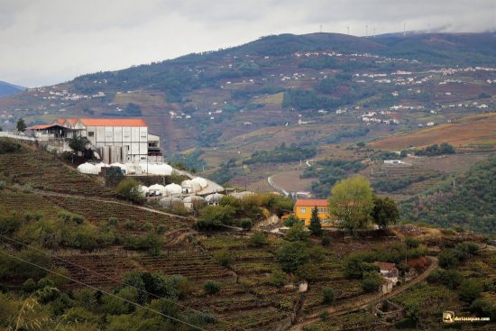 Adega Cooperativa de Penajóia junto a la N-222