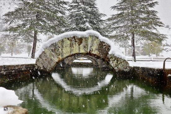 Fuentes Tamáricas, Velilla del río Carrión