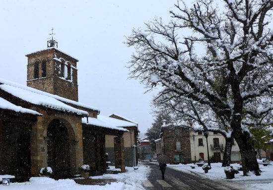 Iglesia y nogales de Velilla del río Carrión