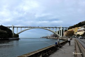 Último Puente del Duero: Arrábida