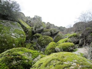 Río Corneja, El Hocino, entre Villar de Corneja y la Horcajada