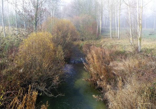 Desembocadura del Mataviejas en Puentedura