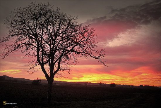 Puesta de sol de invierno en el valle del Arlanza