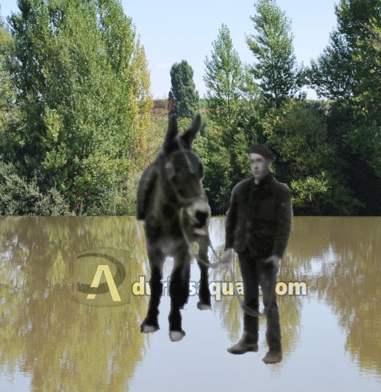 Portada canal de castilla en ByN