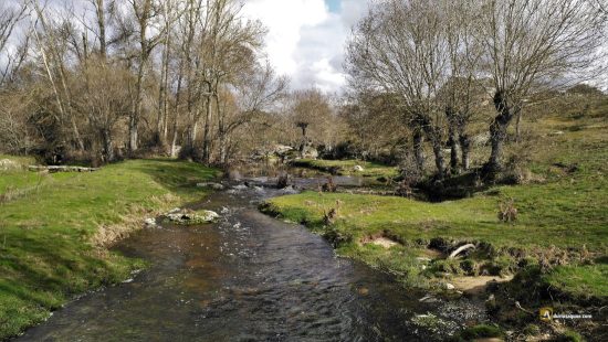 La Ramajería y el Uces