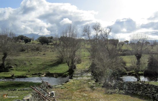 Campos de Salamanca, La Ramajería