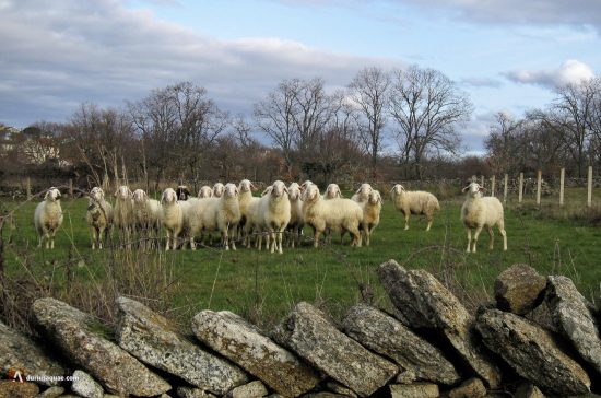 Cabeza del Caballo, Salamanca