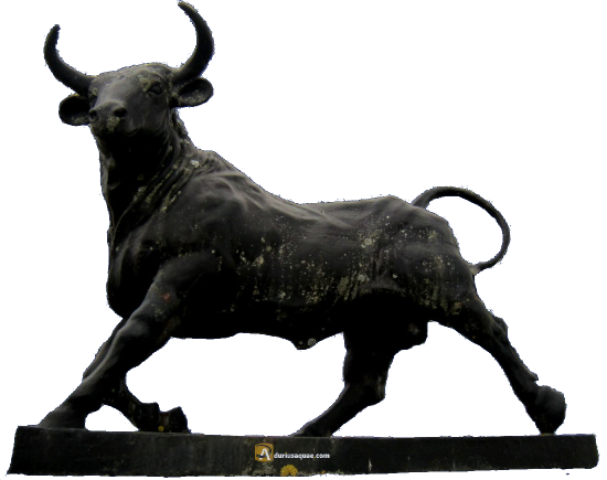 Toro Perdigón, Valderrodrigo, Salamanca