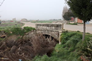 Bercero