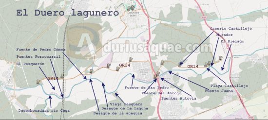 Duero por Laguna
