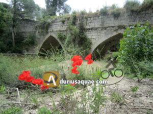 Puente Mediana, alcazarén