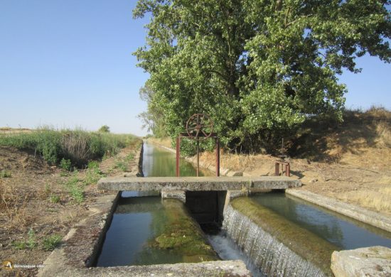 Regadíos en Tierra de Campos, Palencia