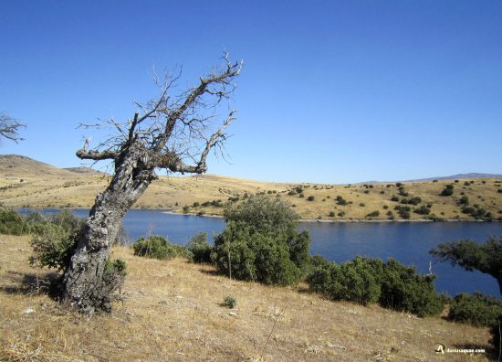 Ávila, embalse del Milagro