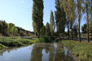 Río Diz