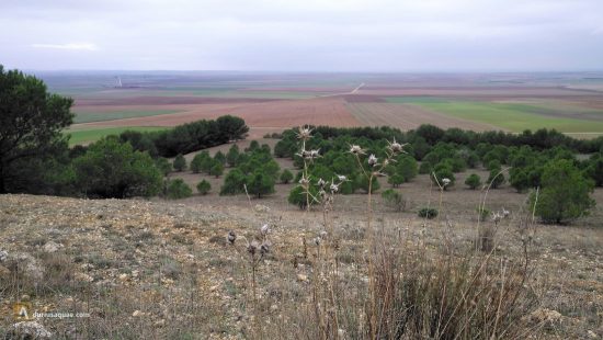 Cerro de Santa Cristina, Valladolid