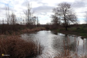 Odra, afluente del Pisuerga