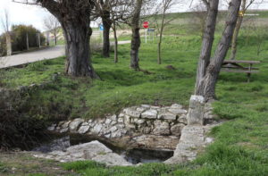 Fuentes en Tiedra: San Pedro