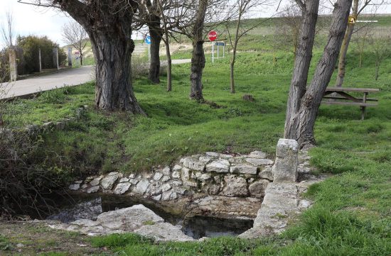 Fuentes en Tiedra: San Pedro