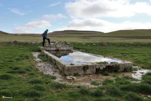 Fuentes en Tiedra: fuente del Caño
