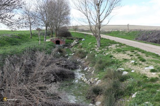 Fuentes en Tiedra, fuente de Coberteras