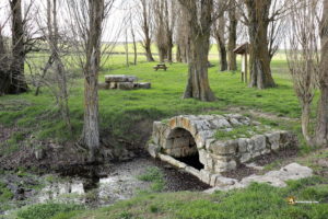 Fuentes de Tiedra: Antagüeros