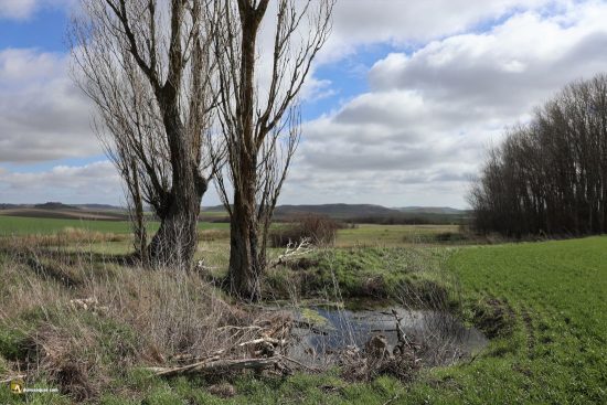 Fuentes de Tiedra: San Urbán
