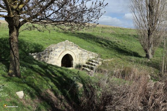 Fuentes en Tiedra: Pelilla