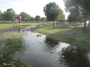 Ávila, San Esteban de Zapardiel
