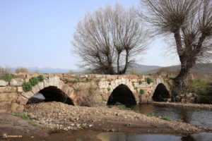 Nestar, Aguilar de Campoo