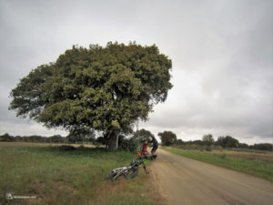 Arcillo, Sayago. Zamora