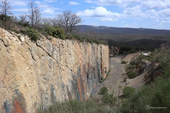 Bosque Fósil, Verdeña