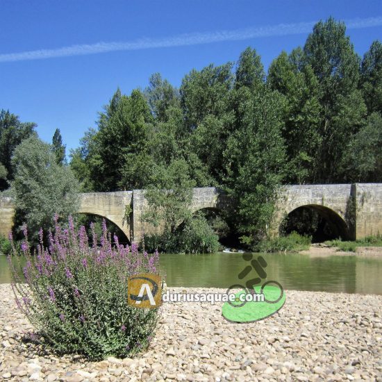 Puente de Astudillo