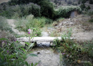 Puente de madera sobre el regato de la Cueva de la Zorra. Castillejo de Robledo, Castilla y León