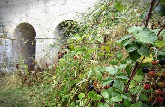 Molino de Alvarado, Fresneda de Cuéllar, El Carracillo